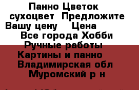 Панно Цветок - сухоцвет. Предложите Вашу цену! › Цена ­ 4 000 - Все города Хобби. Ручные работы » Картины и панно   . Владимирская обл.,Муромский р-н